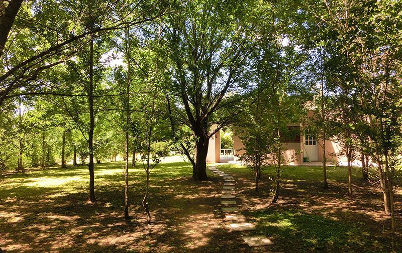 Complejo Aires Del Bosque Apartman Chascomús Kültér fotó